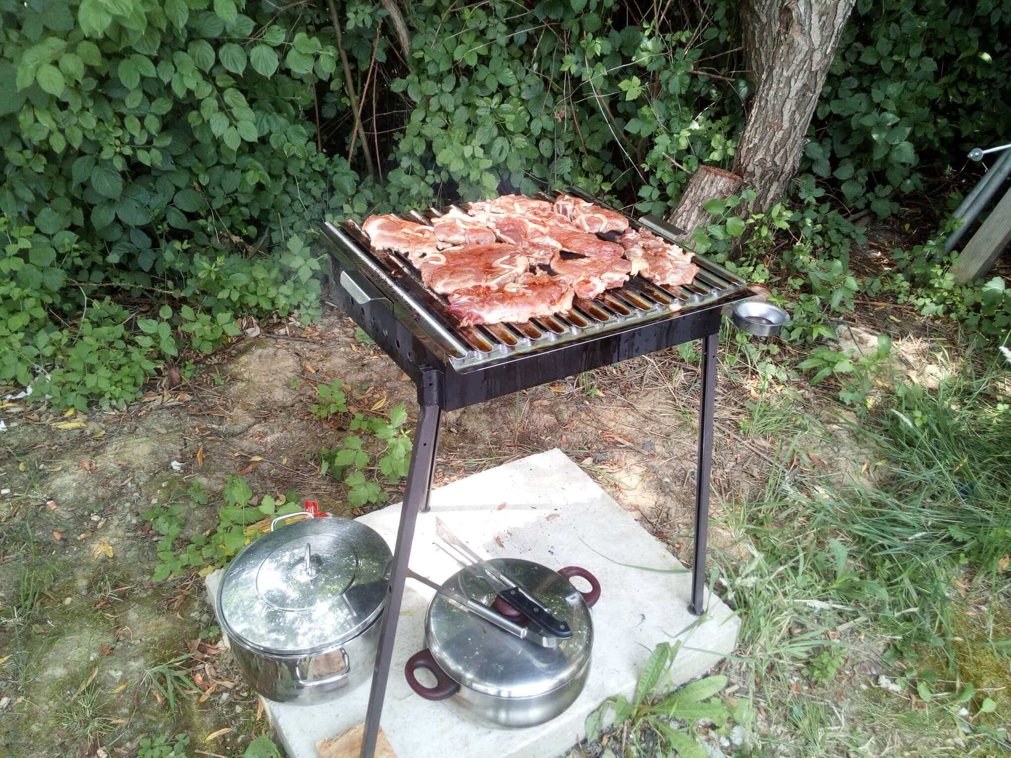 Tradicionalna roštiljada - 2021 - slika 3