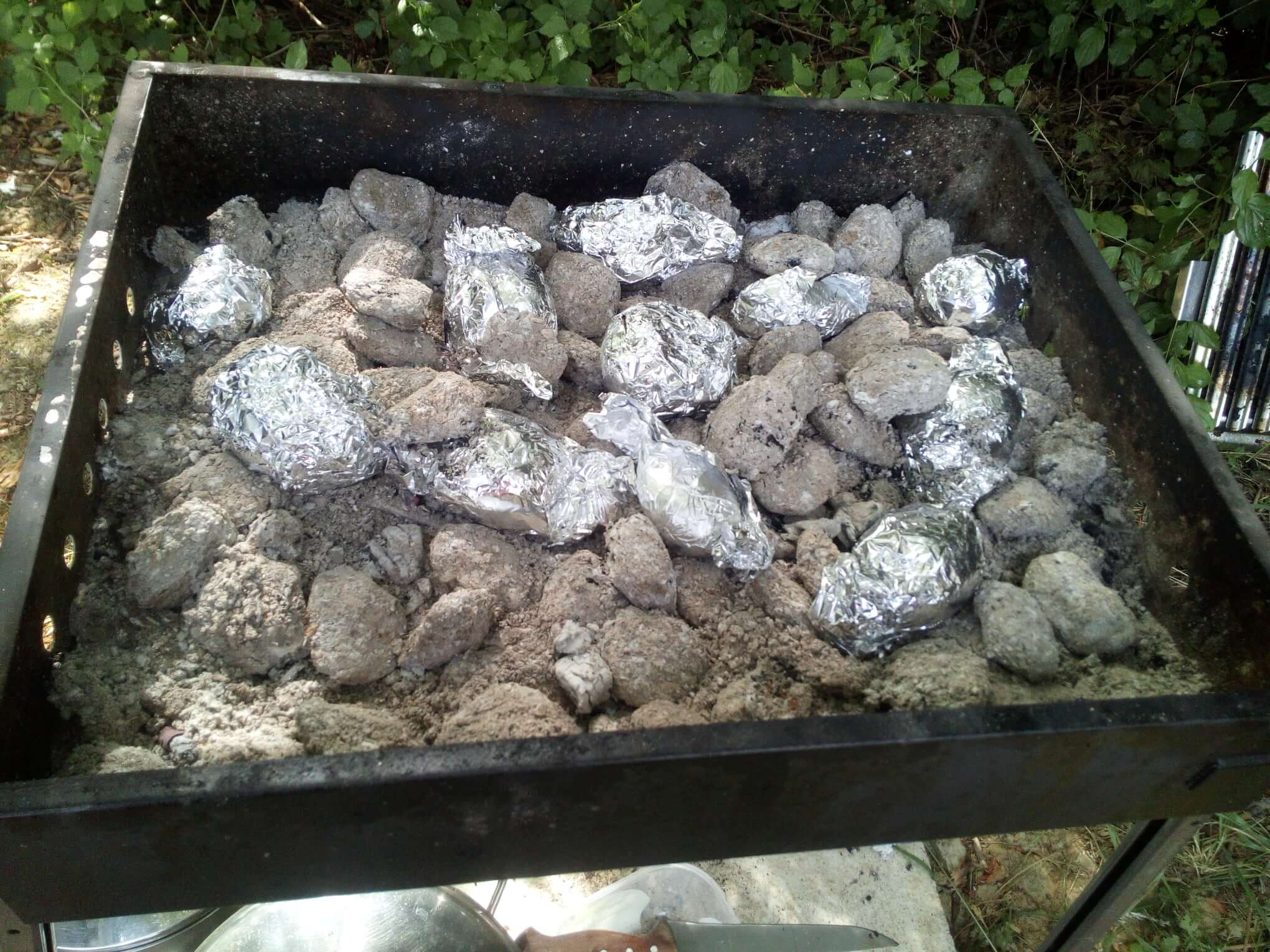 Tradicionalna roštiljada - 2021 - slika 8