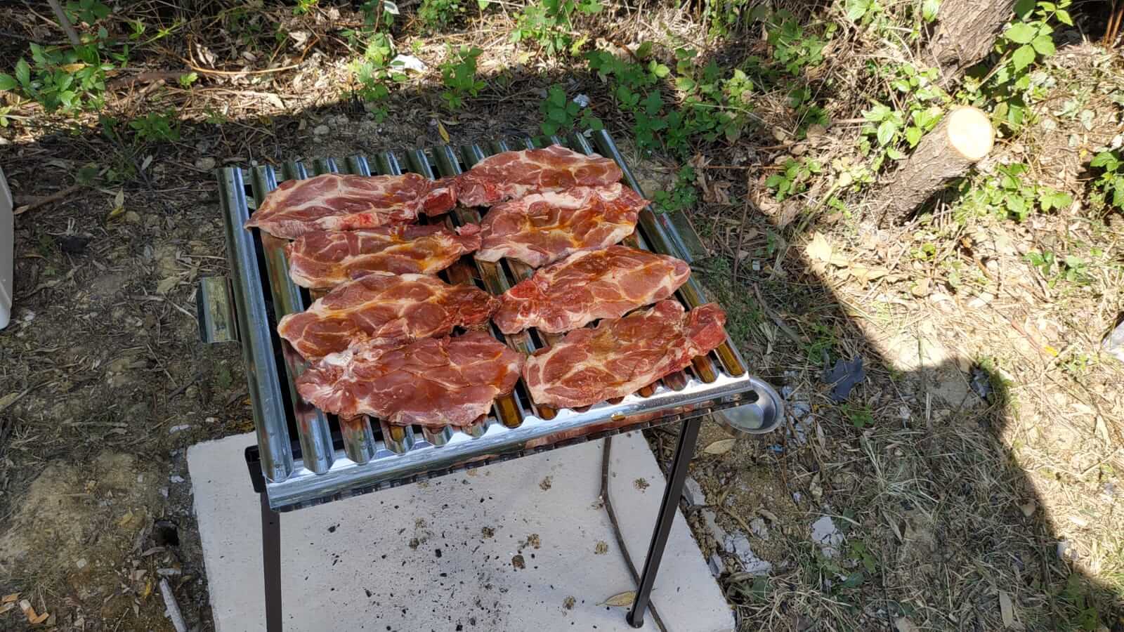 Tradicionalna proljetna roštiljada - 2020 - slika 24