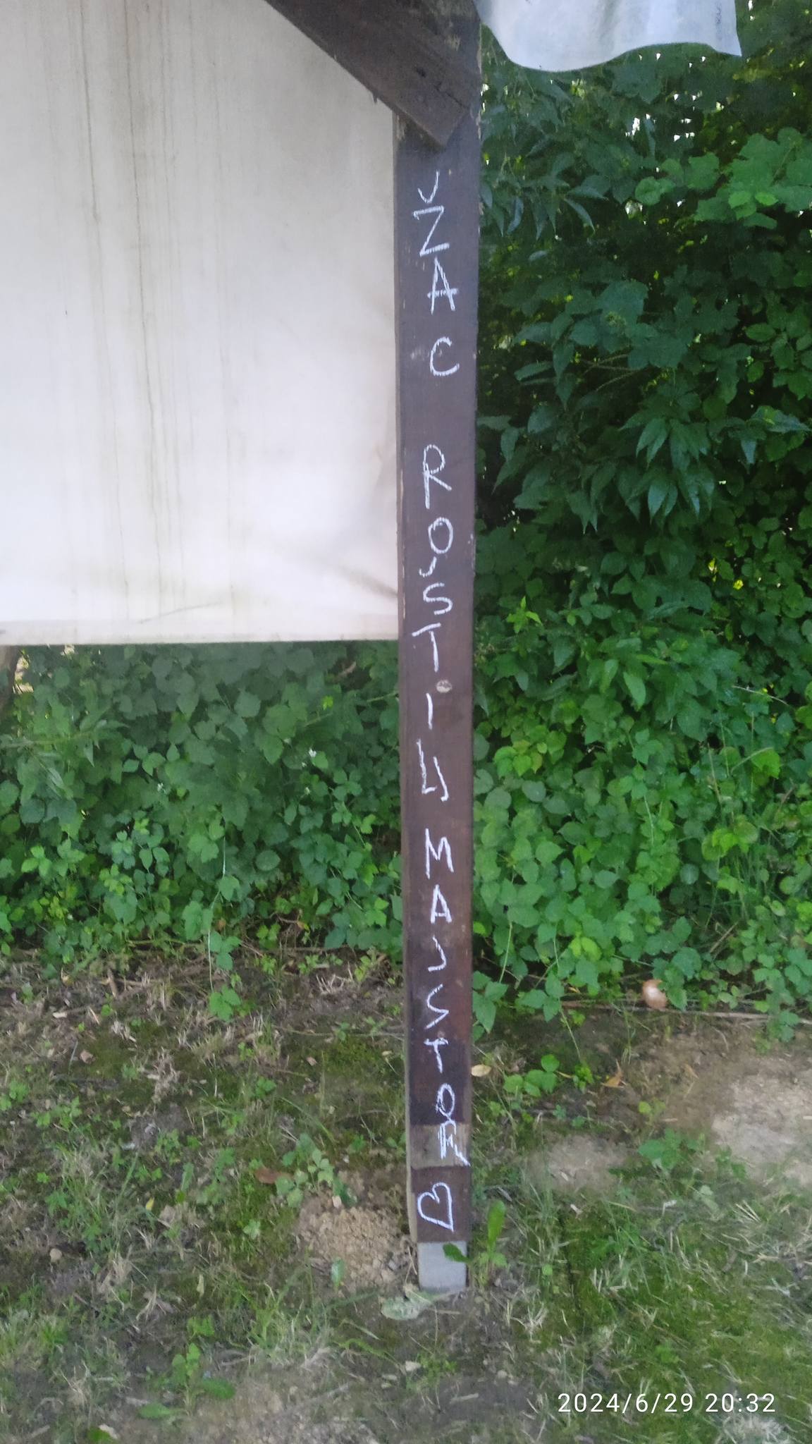 Tradicionalna proljetna roštiljada - 2024 - slika 11