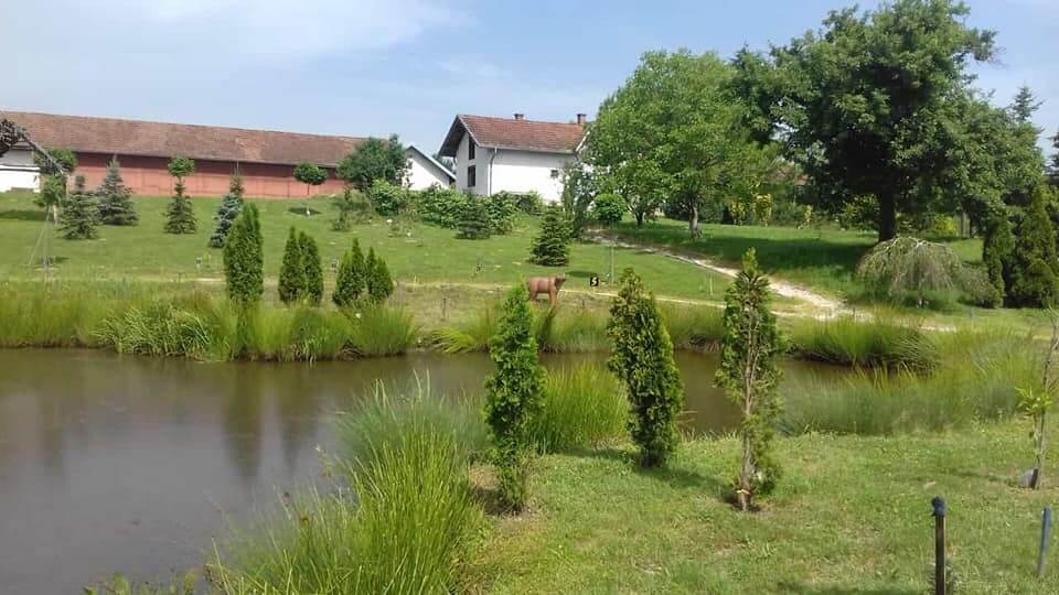 1. 3D Ivanić-Grad + 3DHK - slika 2