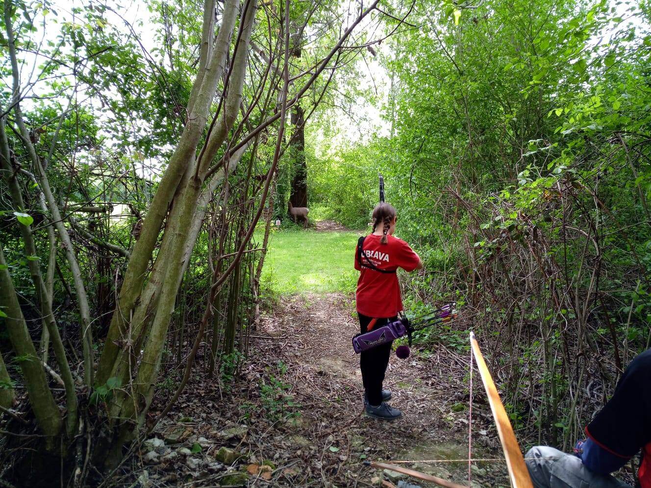 3D Hrvatski i Jadranski 3D kup - slika 1