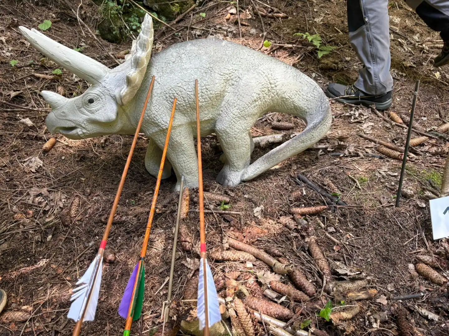 3D Sveta Gera - Hrvatski kup - slika 6