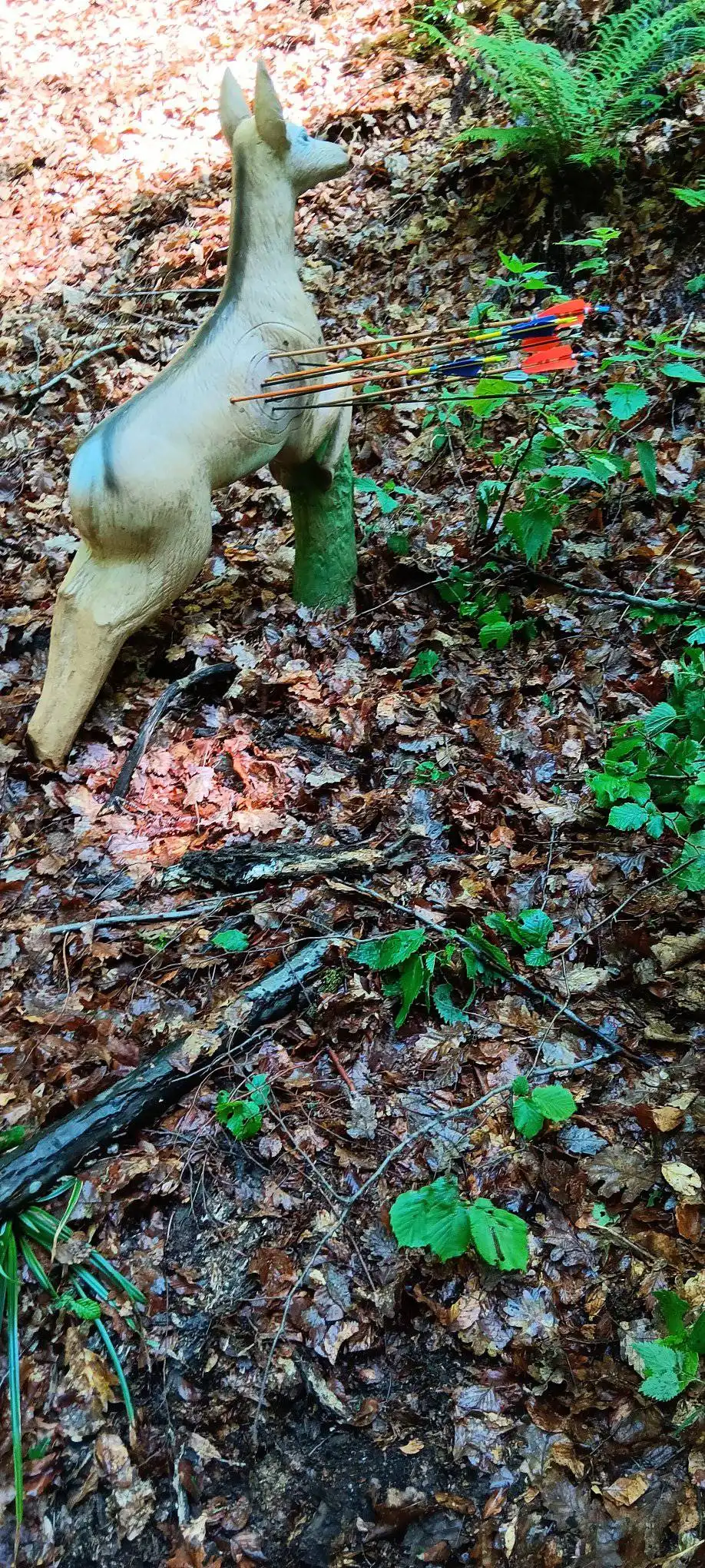3D PILA HUSQVARNA KUP - slika 8