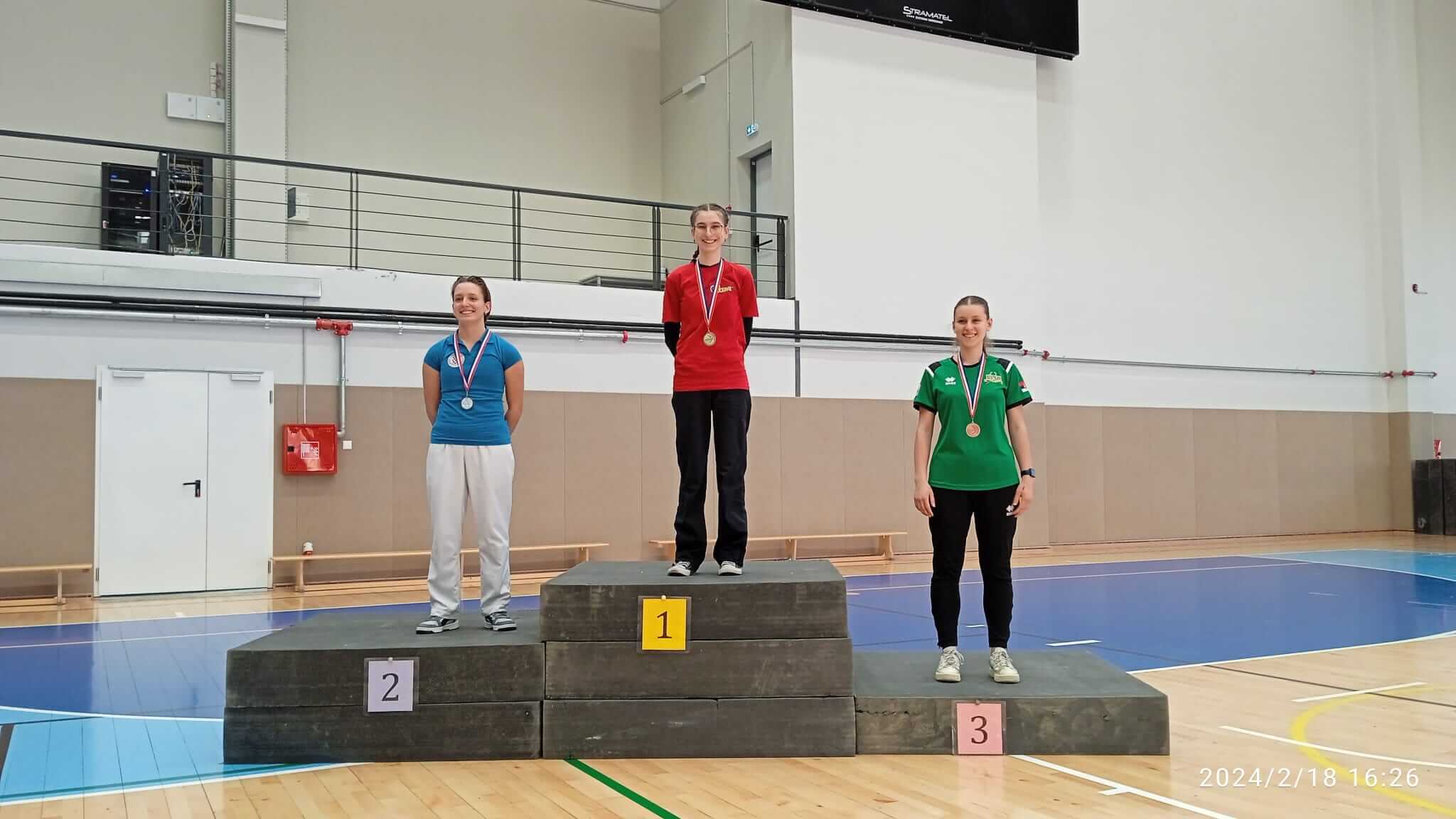 Sisačka zima - slika 1