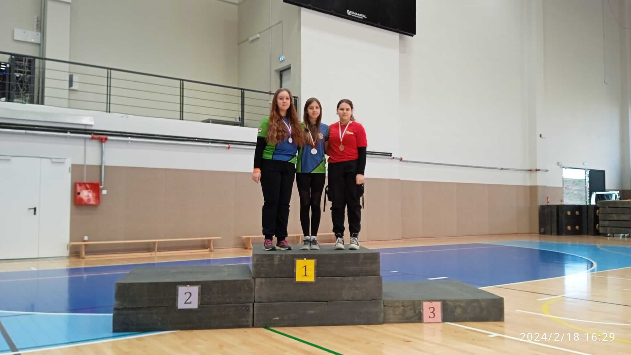 Sisačka zima - slika 5